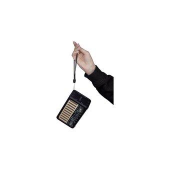  Радиоприемник Ritmix RPR-020 