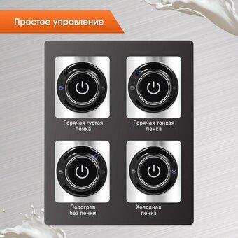  Капучинатор Zigmund & Shtain ZMF-451 
