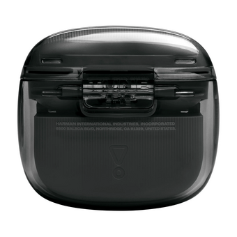  Наушники-гарнитура JBL Tune Flex 2 призрачно-черный 