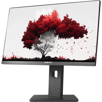  Монитор RDW COMPUTERS RDW2402K (RDW2402K/F13B360V2A1) 