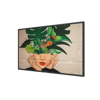  Профессиональный дисплей Philips 98BDL4650D/00 