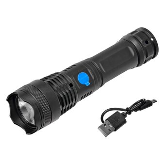 Фонарь FOCUSray 1313 (890248) 