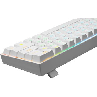  Клавиатура Redragon Draconic (77810) белый 