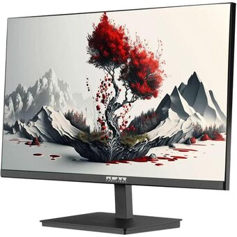  Монитор RDW COMPUTERS RDW2401K (RDW2401K/F00B0100V2A1) черный 