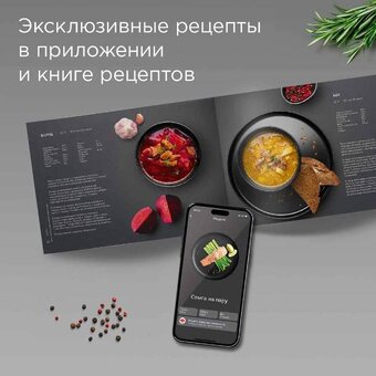  Мультиварка Redmond MC-102 черный 