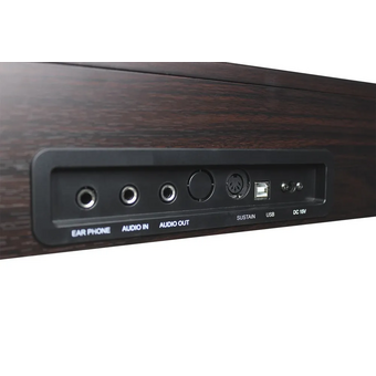  Цифровое фортепиано Solista DP600R 