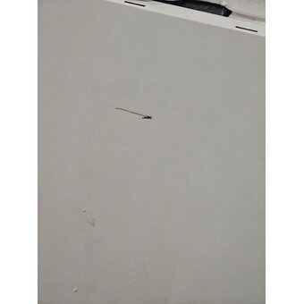  УЦ Встраиваемая посудомоечная машина Beko BDIS38121Q (плохая упаковка, царапины и потертости на корпусе) 