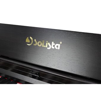  Цифровое фортепиано Solista DP200R 