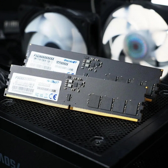  ОЗУ Patriot Signature PSD516G64081C DDR5 - 1x 16ГБ 6400МГц, DIMM, Ret 