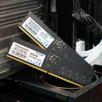  ОЗУ Patriot Signature PSD516G64081C DDR5 - 1x 16ГБ 6400МГц, DIMM, Ret 