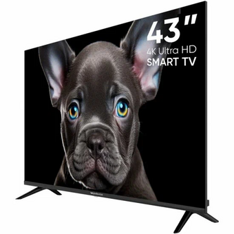  Телевизор Topdevice TDTV43CS08UBK черный 