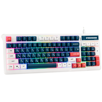  Клавиатура DEFENDER Stormrider GK-425 45425 бело/синий 