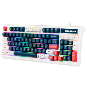  Клавиатура DEFENDER Stormrider GK-425 45425 бело/синий 