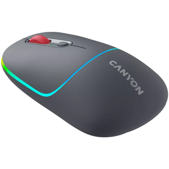  Мышь беспроводная Canyon MW-22 (CNS-CMSW22DG) Темно-серый (Dark Gray) 