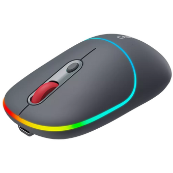  Мышь беспроводная Canyon MW-22 (CNS-CMSW22DG) Темно-серый (Dark Gray) 
