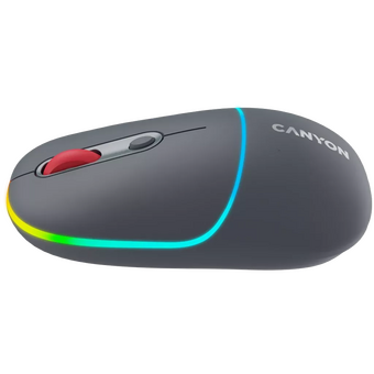  Мышь беспроводная Canyon MW-22 (CNS-CMSW22DG) Темно-серый (Dark Gray) 