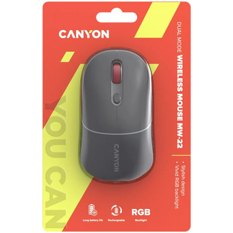  Мышь беспроводная Canyon MW-22 (CNS-CMSW22DG) Темно-серый (Dark Gray) 