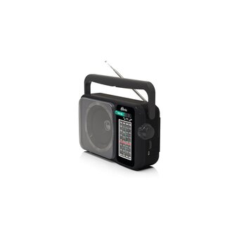  Радиоприемник Ritmix RPR-303 черный 
