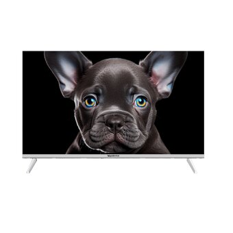  Телевизор Topdevice TDTV32CS08FWE белый 