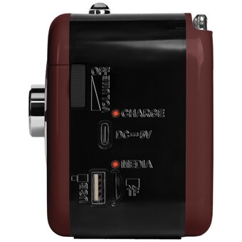  Радиоприемник Ritmix RPR-033 коричневый 