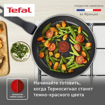  Сковорода Tefal Rock 04235128 28см 