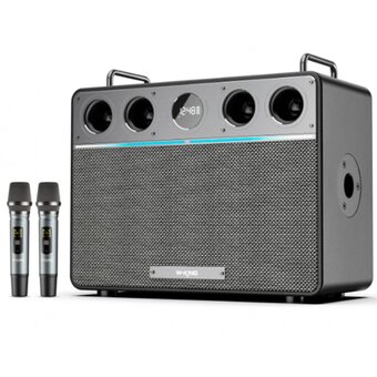  УЦ Портативная колонка W-King T16Plus черный (плохая упаковка, восстановление контактов ЗУ, дефект поверхности кнопки включения) 