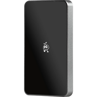  Внешний SSD Smartbuy P5 Pro (SBD256P5SU3C) 256GB USB 3.2 silver 