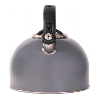  Чайник WILLMARK WTK-4810SS (2001461) 4л Темно-серый 