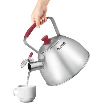  Чайник Rondell Savvy RDS-1826 2.5л стальной 