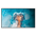  Панель Hisense 86DM66D черный 