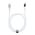  Кабель Philips DLC9102W/74 Display USB C-USB C 100W 2м белый 