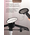  Отпариватель BACKMAN BM-STE 0603-02 коричневый 