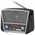  Радиоприемник Ritmix RPR-065 GRAY 