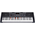  Синтезатор AIWA ASZ-612 