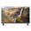  Телевизор Blackton Bt 32F40B Black 