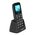 Мобильный телефон Maxvi B110ds black 