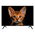  Телевизор Topdevice TDHTV32YHD_BK черный 