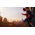  Игра Marvel's Spider-Man: Miles Morales на PS5 русская версия 
