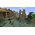  Игра Minecraft на PS4 русская версия 