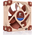  Кулер Noctua NF-A8 PWM chromax.black.swap (80x80x25mm, 4-pin 32.67CFM, 17.7dBA, 2200RPM, Black) 