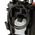  Минимойка Einhell TE-HP 170 (4140770) 
