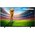  Телевизор HISENSE 100UXQ 