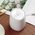  Ароматизатор воздуха Xiaomi HL Aroma Diffuser 