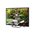 Телевизор HARPER 32R660TS 