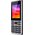  Мобильный телефон Vertex D514 Silver/Black 