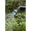  Наконечник-распылитель Gardena Premium (18336-20.000.00) 