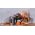  Чайник Starwind SKS4210 серебристый матовый 