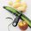  Овощечистка для овощей и фруктов Victorinox Potato Peeler черный (7.6073.3) 