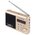 Портативная колонка Perfeo Sound Ranger шамп.золот (SV922AU) PF-3185 