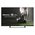 Телевизор Hisense 43A7300F